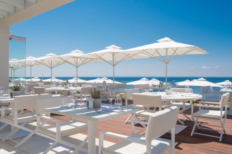 OUZO Greek Restaurant Ikos Olivia